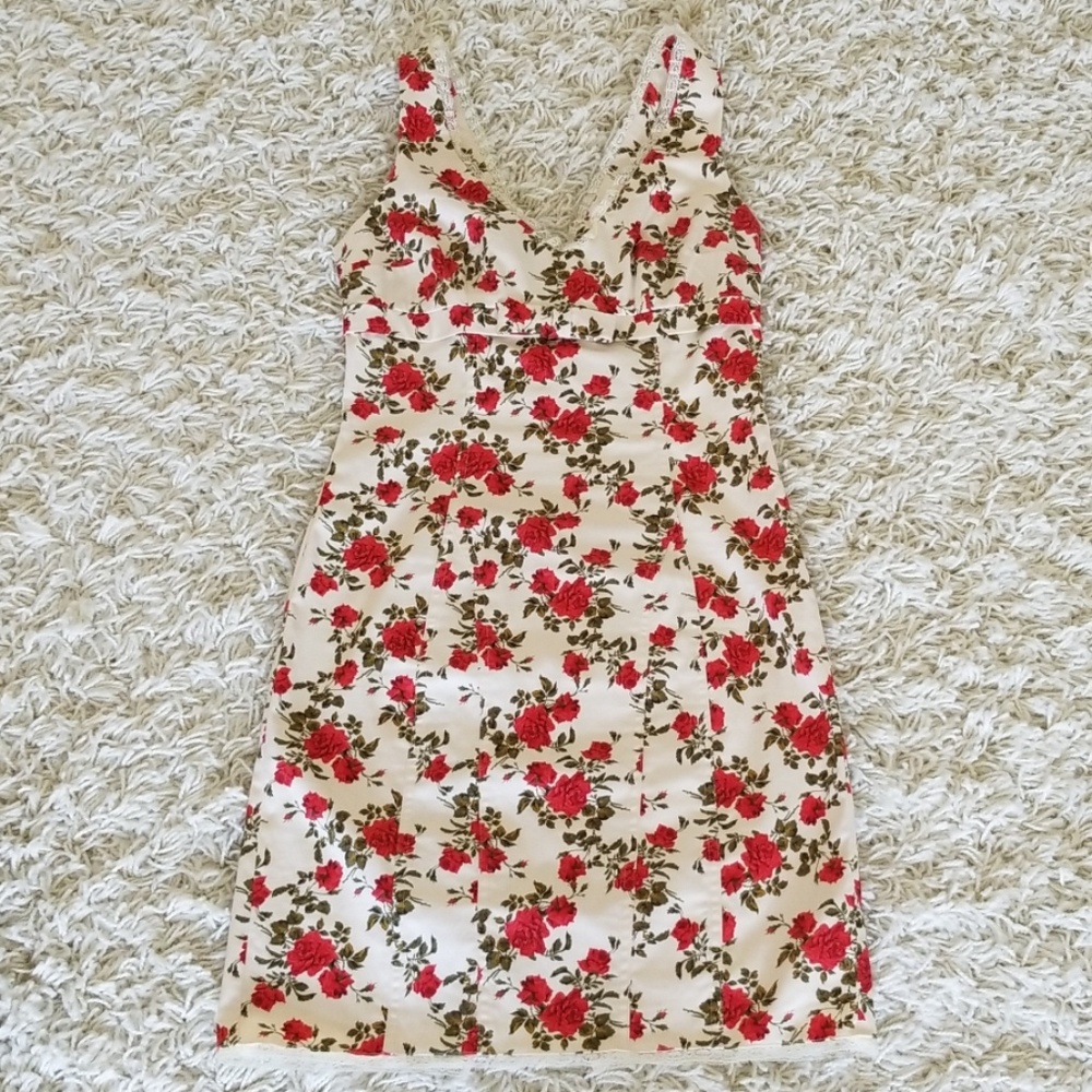 Vintage looking dress with Roses